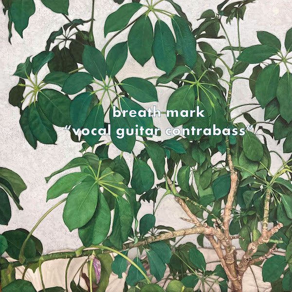 breath mark / vocal guitar contrabass (LP)