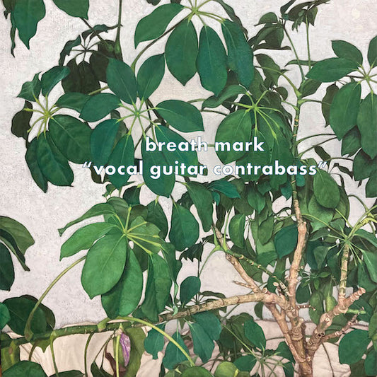 breath mark / vocal guitar contrabass (LP)